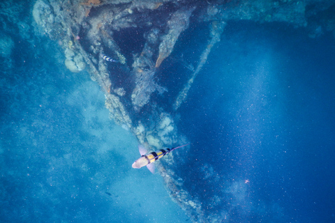 Coron: Apo Reef and Busuanga Freediving Expedition Tour