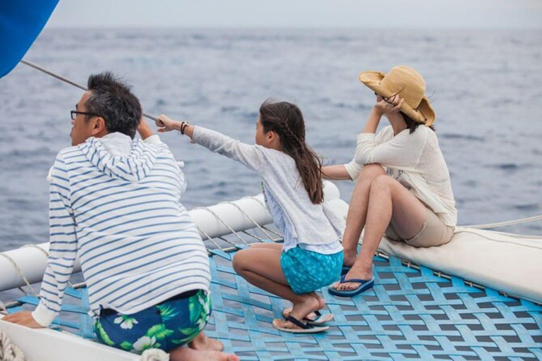 洛斯卡沃斯：双体船赏鲸巡航带接送