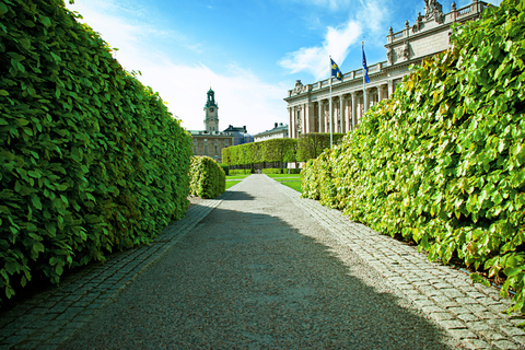 Stockholm-syndroom: wandeltocht van 3 uurStockholm Syndrome: privéwandeling