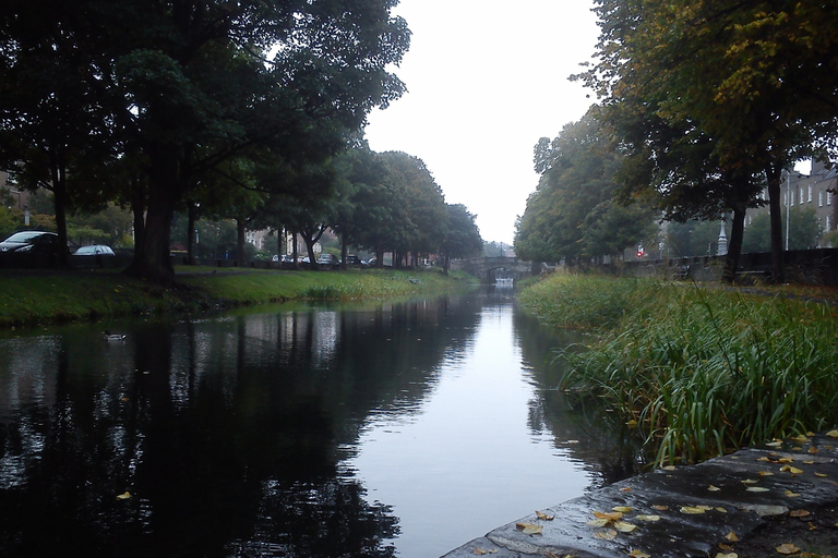 Dublin: Grand Canal Cruise met dinerDublin: rondvaart Grand Canal met diner