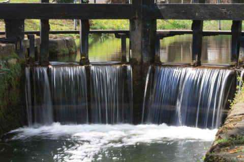 Dublin: Cruzeiro pelo Grande Canal com jantarDublin: Cruzeiro no Grand Canal com Jantar