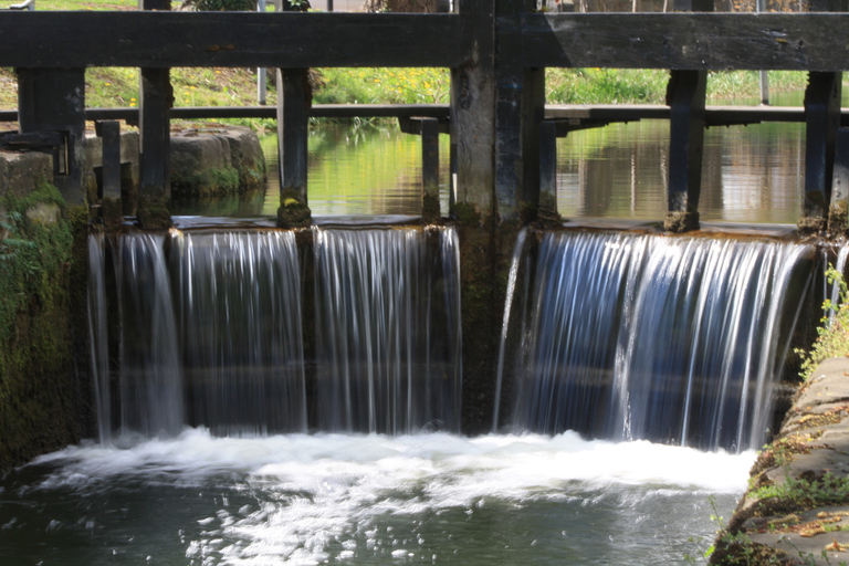 Dublin: Grand Canal Cruise with Dinner