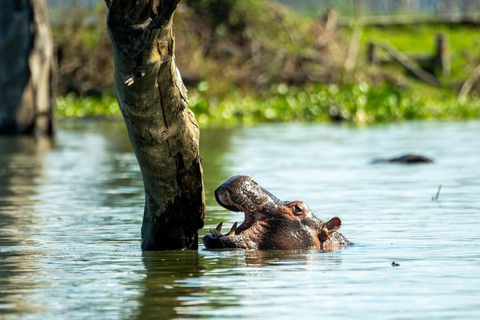 Nairobi: Horseback Safari and Lake Naivasha Boat Ride
