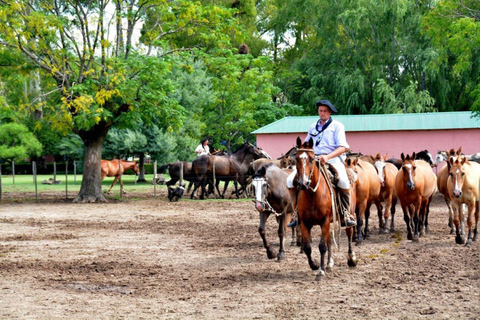 Buenos Aires: Santa Susana Ranch Day Tour, BBQ & Shows