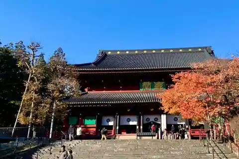 Tour privato a Nikko con una guida di lingua spagnola