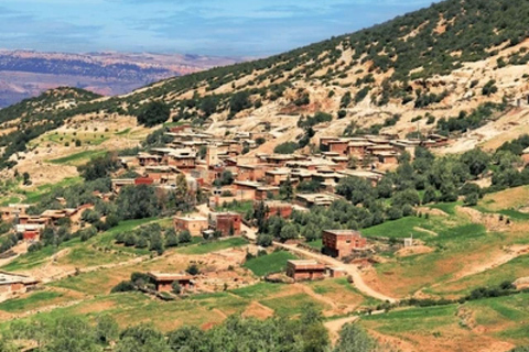 Au départ de Marrakech : Excursion d'une journée dans le Haut Atlas et les 4 vallées