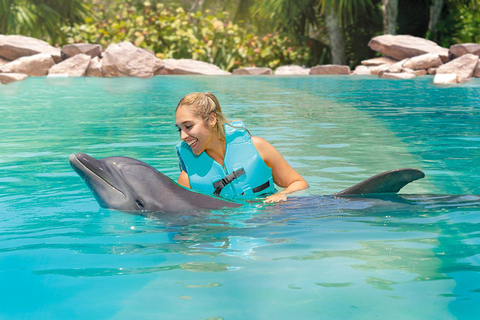 CANCUN:Dolphin Diamond Experience with Buffet and Water Park