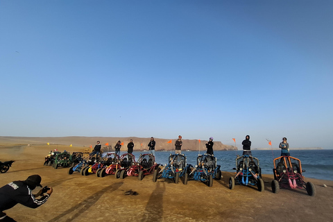Paracas: Ballestas Islands Boat Tour & Mini Buggy Ride