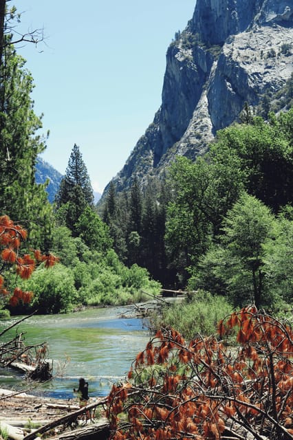 San Francisco: 2-Day Tour to Los Angeles with Parks image 2