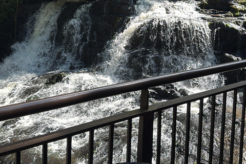 Hiking in Iguaçu National Park: A nature hike Trails in Iguaçu National Park: A hike through nature