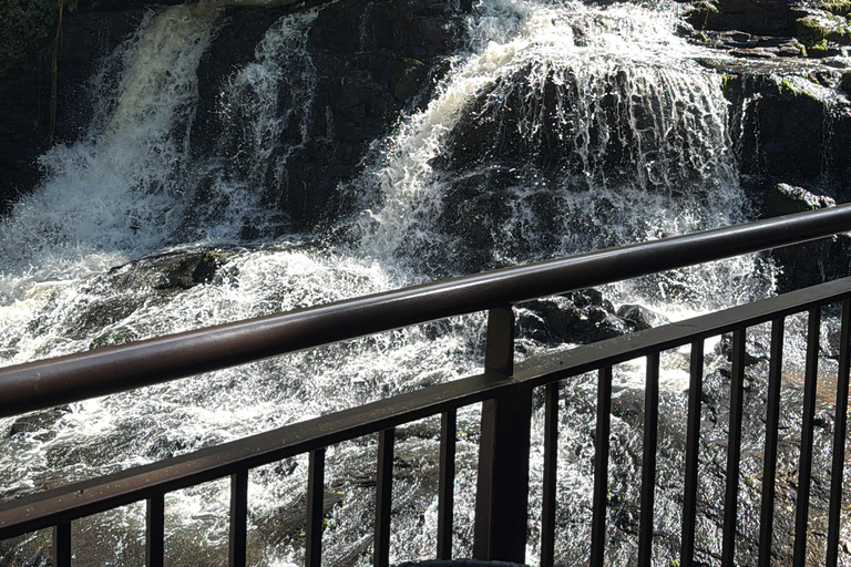 Hiking in Iguaçu National Park: A nature hike Trails in Iguaçu National Park: A hike through nature