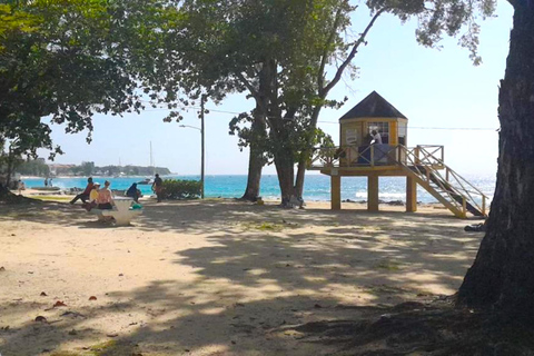 Barbados: Snorkeling, przygoda z wrakiem statku i dzień na plaży