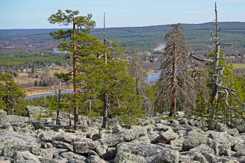 Rovaniemi: Övertorneå e a colina Aavasaksa. História e natureza