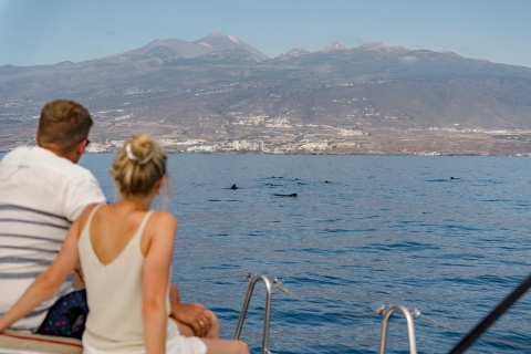 Jachttocht om walvissen en dolfijnen te spotten in Puerto Colon
