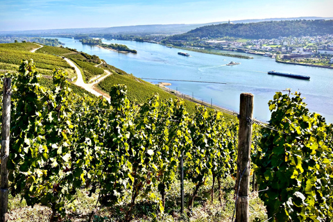 Mainz: Rhine Valley Wine Tasting & Inc Wine Tapas Picnic