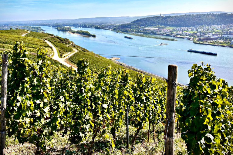 Mainz: Rhine Valley Wine Tasting & Inc Wine Tapas Picnic