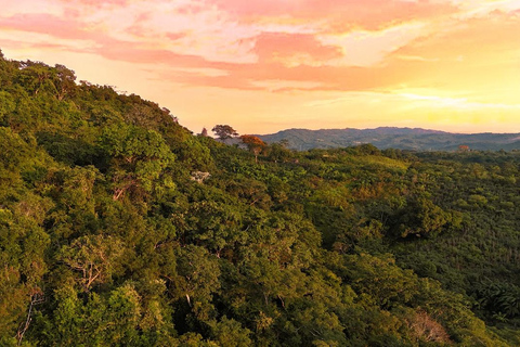 Villanueva: Fundación Loros Sunset Tour with Winetasting