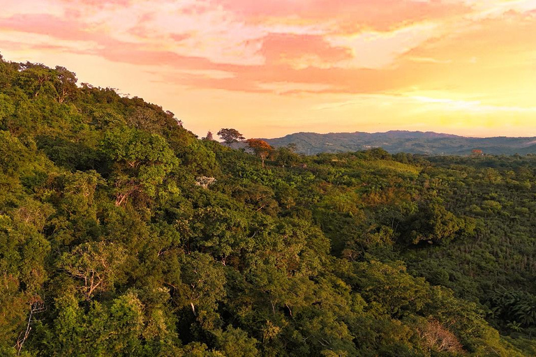 Villanueva: Fundación Loros Sunset Tour with Winetasting