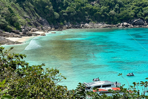 Phuket: Similan Islands Tour by Premium Speed Catamaran