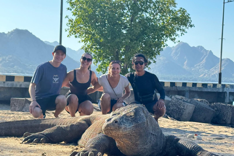 Labuan Bajo:3-Day Private Komodo National Park Eco Boat Tour