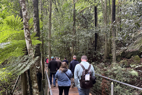 Blue Mountains: Mundo cênico, balsa, zoológico e foto de coala