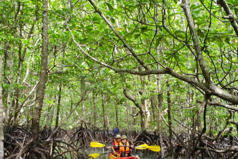 Ko Lanta: Tour di mezza giornata ESPLORA MANGROVE in KAYAKING