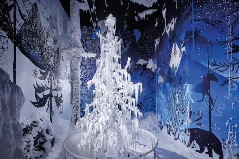 From Salzburg: Private Swarovski, Innsbruck & Nordkette Tour
