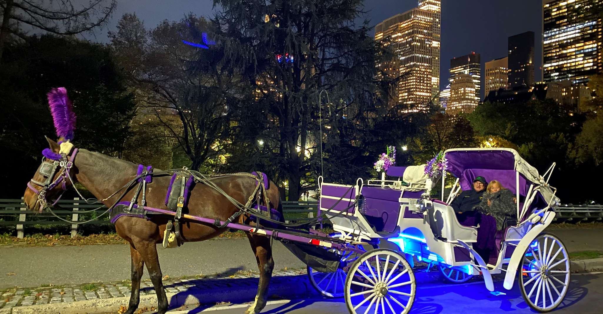 NYC, Guided Central Park Horse Carriage Ride - Housity