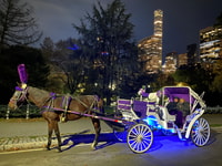 NYC, paseo guiado de carruaje de caballos de Central Park - Housity