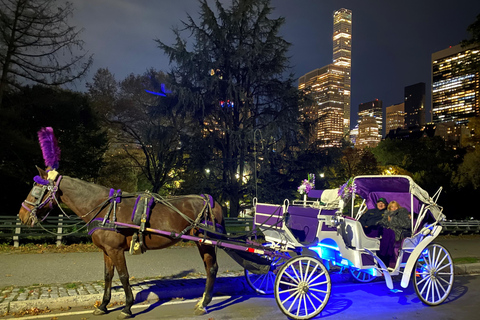 NYC: Paseo Privado en Coche de Caballos por las Luces de Navidad