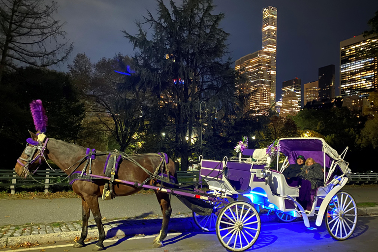 NYC: Paseo Privado en Coche de Caballos por las Luces de Navidad