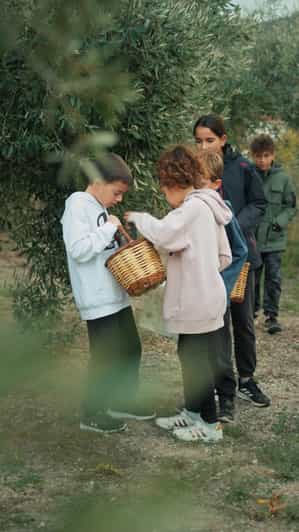 Chania Treasure Hunt : In olive Mill