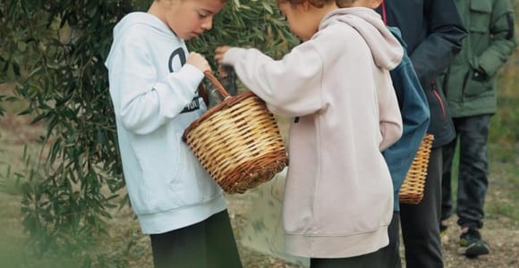 Chania Treasure Hunt : In olive Mill