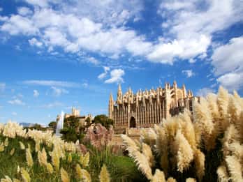 Palma: Private, geführte Tour zu Fuß Palma: Private, geführte Tour zu Fuß