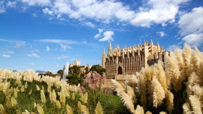 palma private guided walking tour