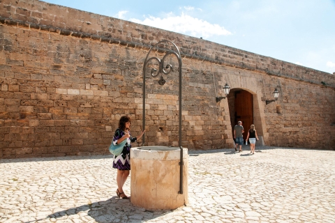 Palma de Mallorca: Full-Day Tour with Departure Options Departure from the North