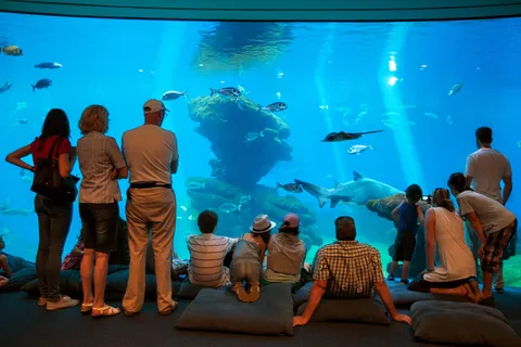 Mallorca : Billets pour l'Aquarium de Palma avec transfert