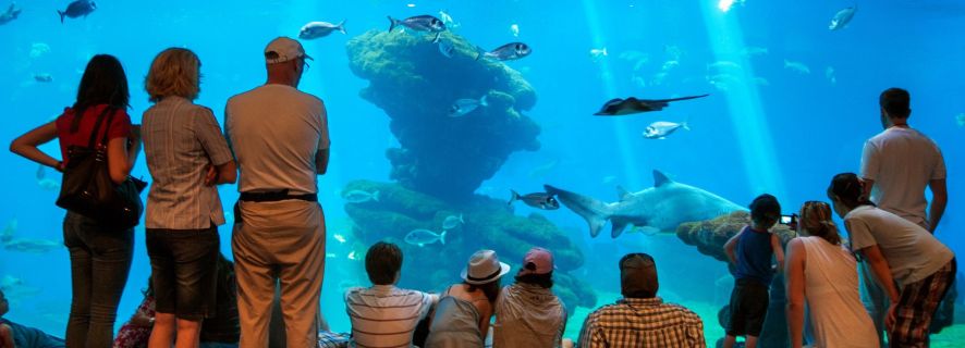 Mallorca: Palma Aquarium tickets met vervoer