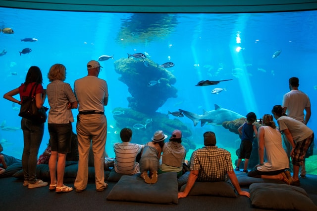 Mallorca: Palma Aquarium Tickets with Transfer