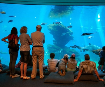 Mallorca: Palma Aquarium Tickets with Transfer