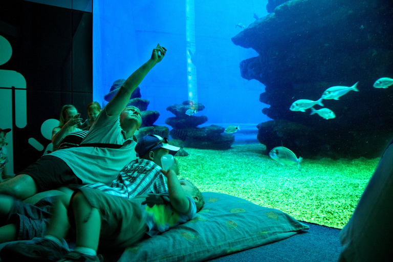 Mallorca: Palma Aquarium Tickets with Transfer