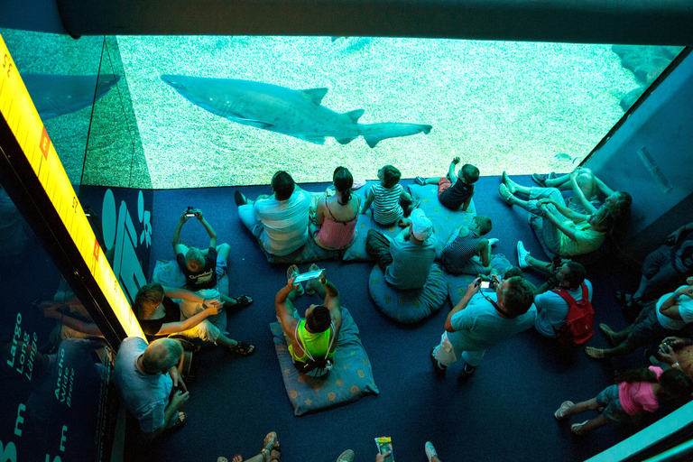 Mallorca: Palma Aquarium Tickets with Transfer