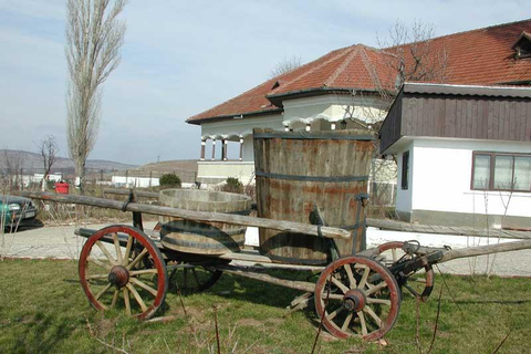 Bucharest: Slanic Salt Mines and Wine Tasting Tour