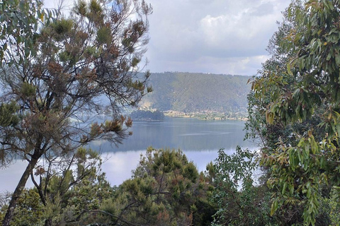 من أديس أبابا: رحلة نهارية من أديس أبابا إلى بحيرة ونشي كريتر مع وجبة غداء