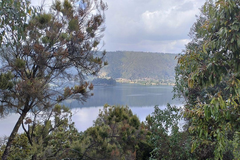 من أديس أبابا: رحلة نهارية من أديس أبابا إلى بحيرة ونشي كريتر مع وجبة غداء