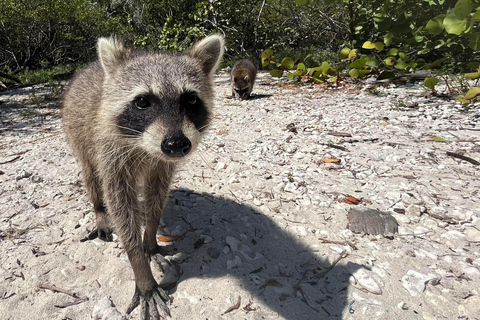 Raccoon Island Adventure: Swim & Luxury Waterfront Estates