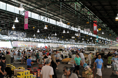 Sydney: Bondi Beach, Ópera y Visita Privada a la Ciudad de Sídney