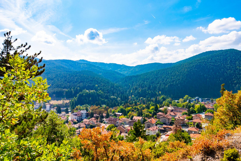 Spa &amp; Culture Tour: Velingrad and Plovdiv Region (9 Days)