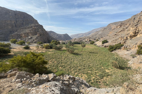 Dubaï : randonnée modérée sur le sentier de l&#039;oasis cachée de Jebel JaisDubaï : Randonnée modérée sur le sentier de l&#039;oasis cachée de Jebel Jais