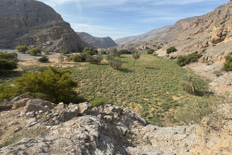 Dubaï : randonnée modérée sur le sentier de l&#039;oasis cachée de Jebel JaisDubaï : Randonnée modérée sur le sentier de l&#039;oasis cachée de Jebel Jais